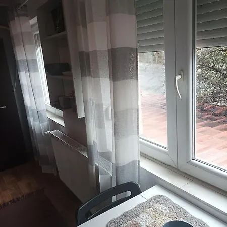 Biljana Lazic Apartman *