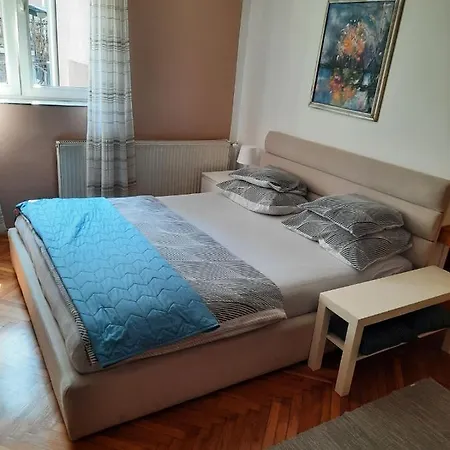 Biljana Lazic Vrnjačka Banja