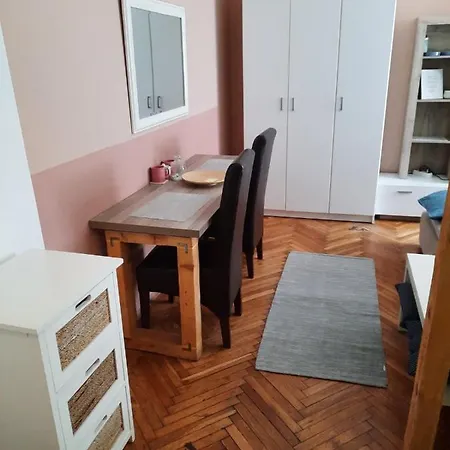 Biljana Lazic Apartman Vrnjacka Banja
