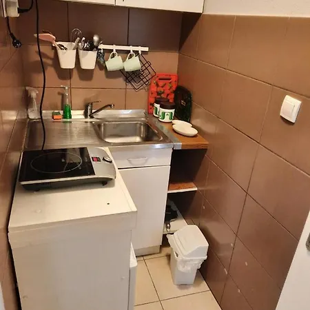 Biljana Lazic * Vrnjacka Banja