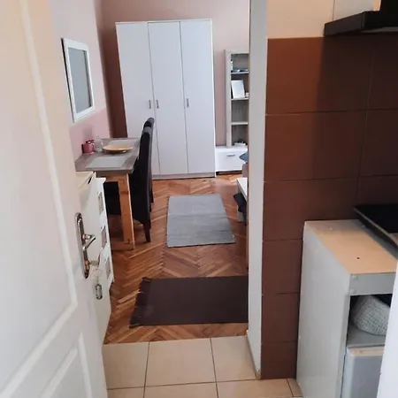 Apartament Biljana Lazic Vrnjačka Banja