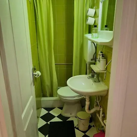 Biljana Lazic Vrnjacka Banja