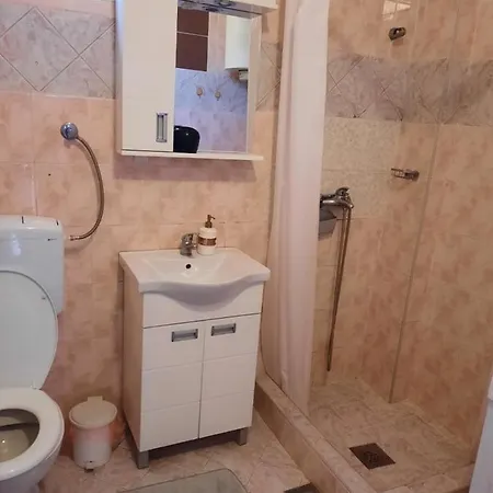 Biljana Lazic Apartman Vrnjacka Banja