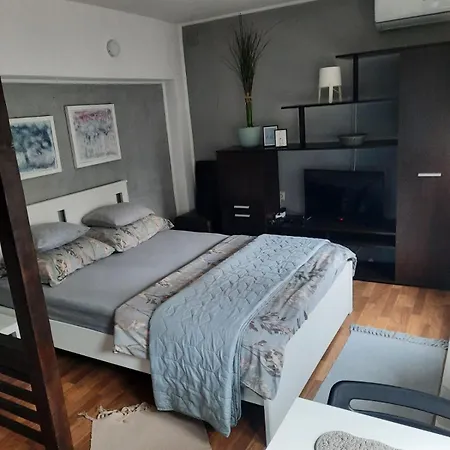 Biljana Lazic Vrnjačka Banja