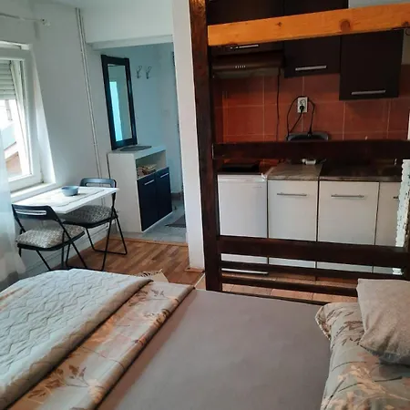 Apartament Biljana Lazic *