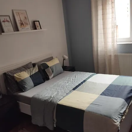 Biljana Lazic Apartman Vrnjacka Banja