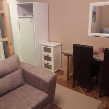 Biljana Lazic Apartament *