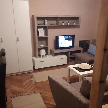 Biljana Lazic Vrnjacka Banja