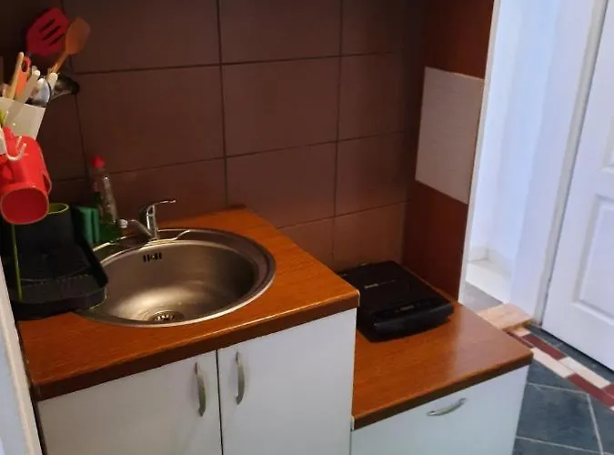 Biljana Lazic * Vrnjačka Banja