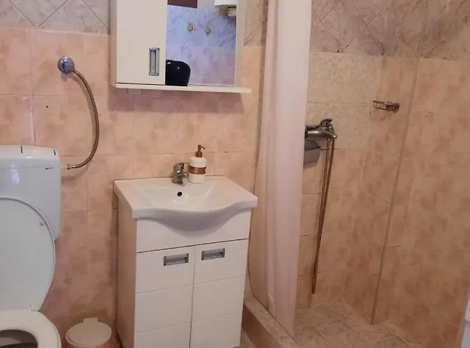 Biljana Lazic شقة Vrnjačka Banja