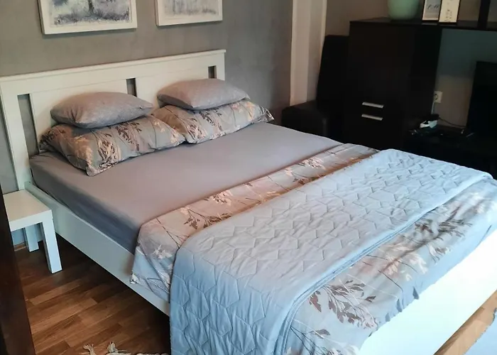 Biljana Lazic شقة