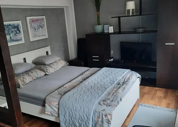 Biljana Lazic Vrnjačka Banja