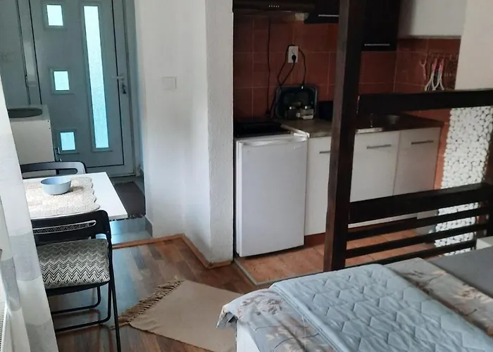 Biljana Lazic شقة